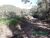 Terreno, 3 hectares - Foto 1