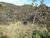 Terreno, 3 hectares - Foto 2