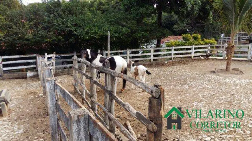 Fazenda, 1000 m² - Foto 10