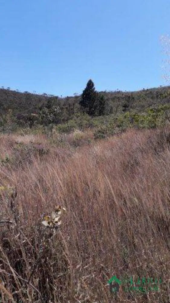 Terreno, 1 hectares - Foto 7