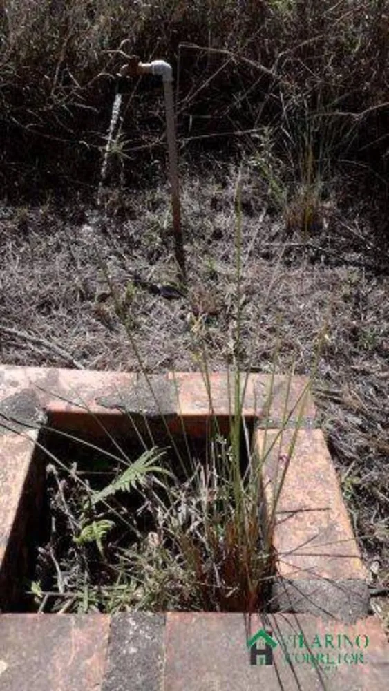 Terreno, 1 hectares - Foto 8