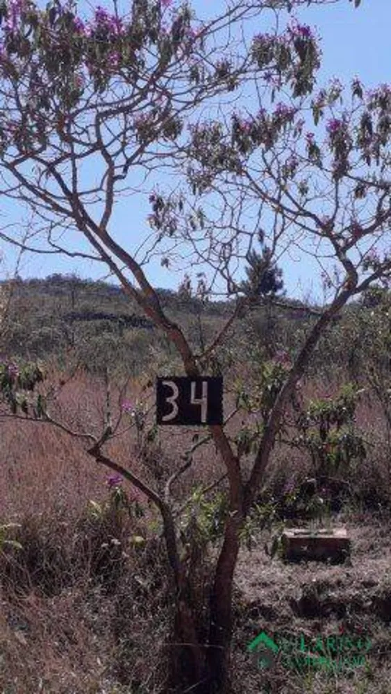 Terreno, 1 hectares - Foto 4
