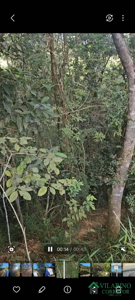 Terreno, 5000 m² - Foto 4