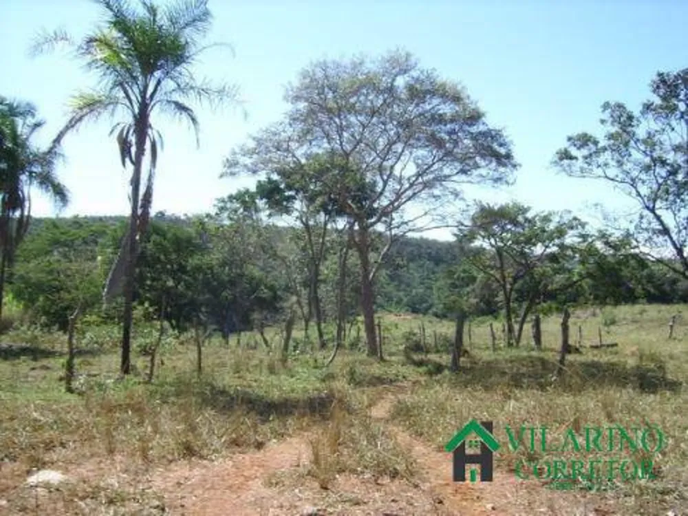 Terreno, 40 hectares - Foto 3