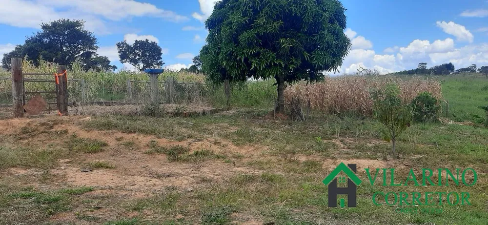 Sítio, 3 quartos, 3 hectares - Foto 3