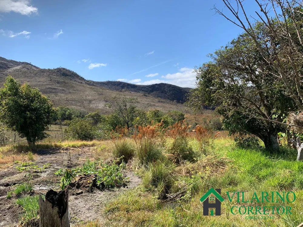 Fazenda, 123 hectares - Foto 3