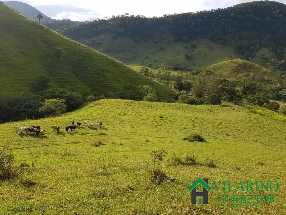 Fazenda à venda com 3 quartos, 115m² - Foto 4