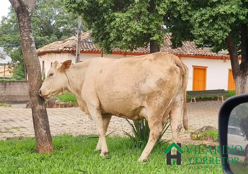Fazenda, 15 hectares - Foto 8