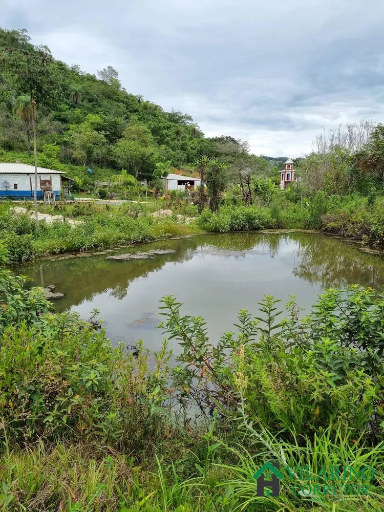 Fazenda, 15 hectares - Foto 6