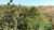 Terreno, 5000 m² - Foto 3