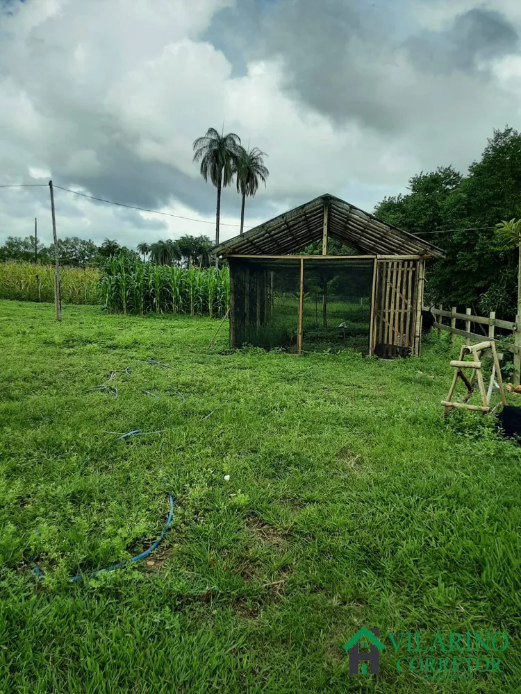 Terreno, 10000 m² - Foto 5
