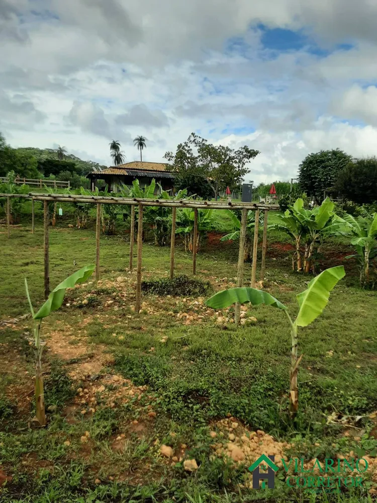Terreno, 10000 m² - Foto 6