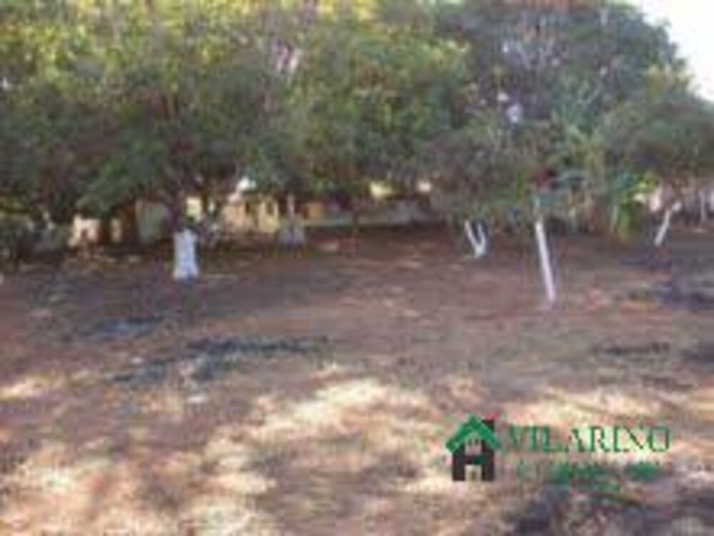 Terreno, 2 hectares - Foto 16
