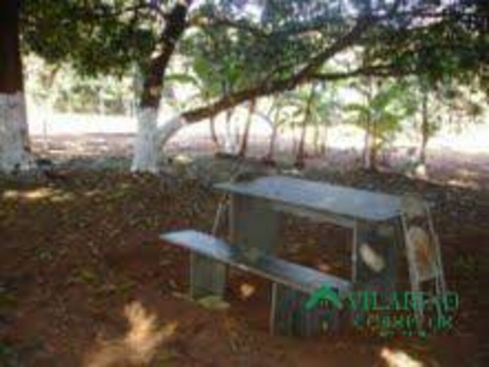 Terreno, 2 hectares - Foto 15