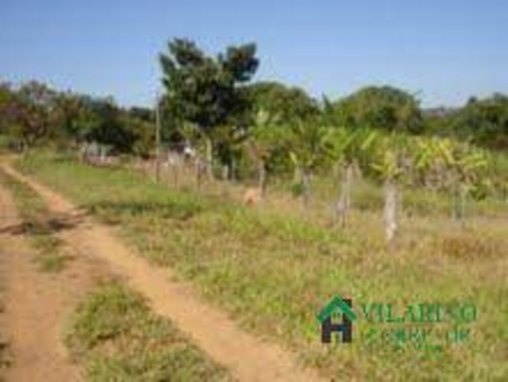Terreno, 2 hectares - Foto 6
