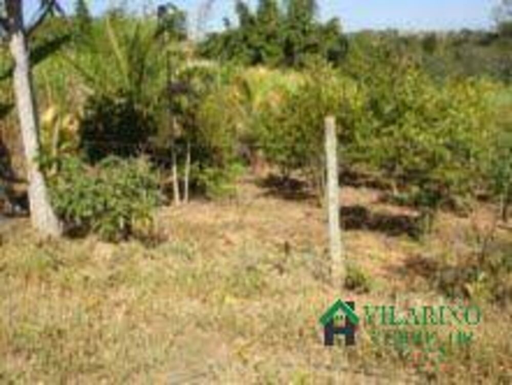 Terreno, 2 hectares - Foto 7