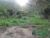 Fazenda-Sítio-Chácara, 450 m² - Foto 2