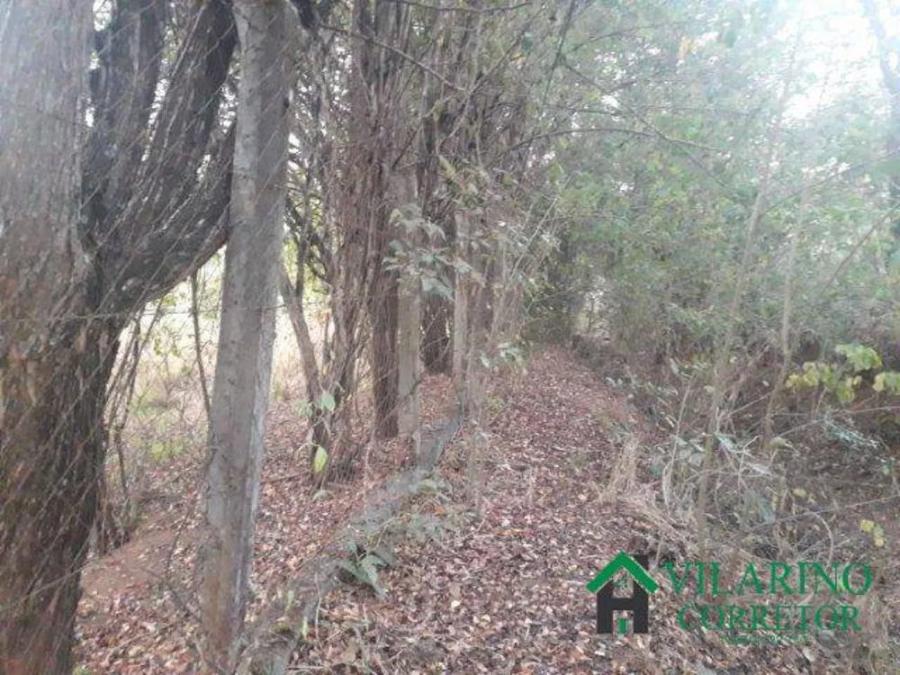 Terreno, 6222 m² - Foto 7