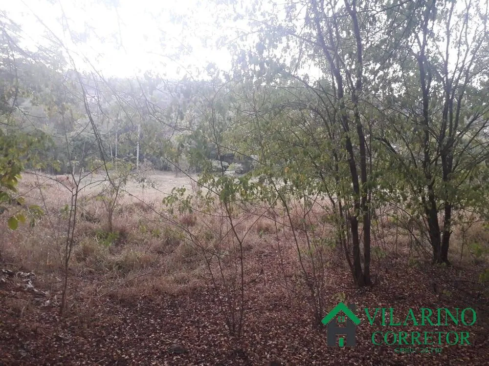 Terreno, 6222 m² - Foto 8