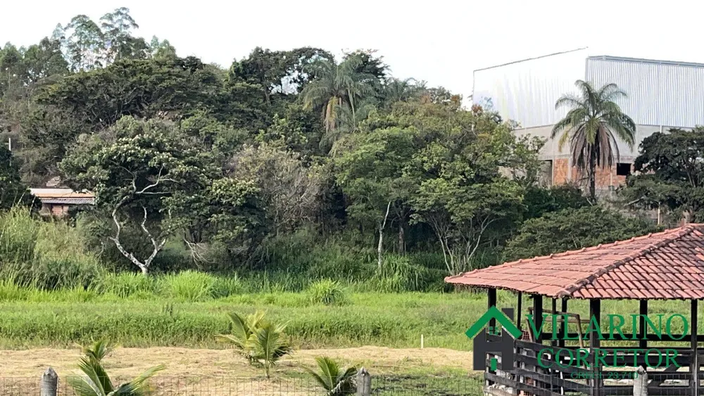 Sítio, 5 quartos, 1 hectares - Foto 3