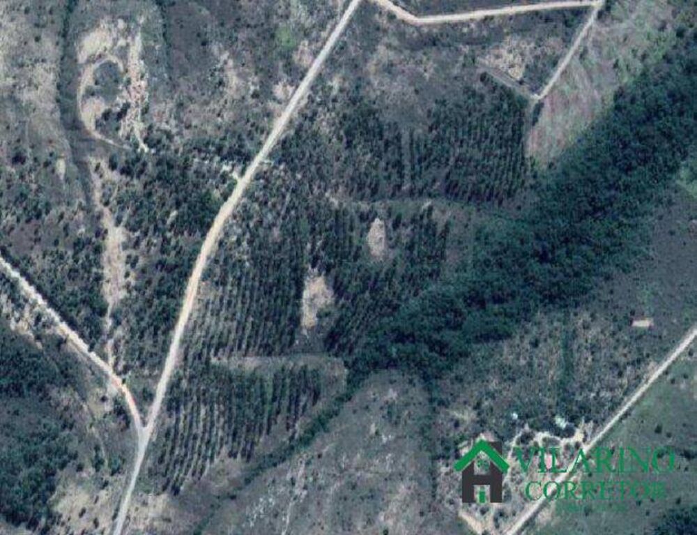 Terreno, 1 hectares - Foto 2