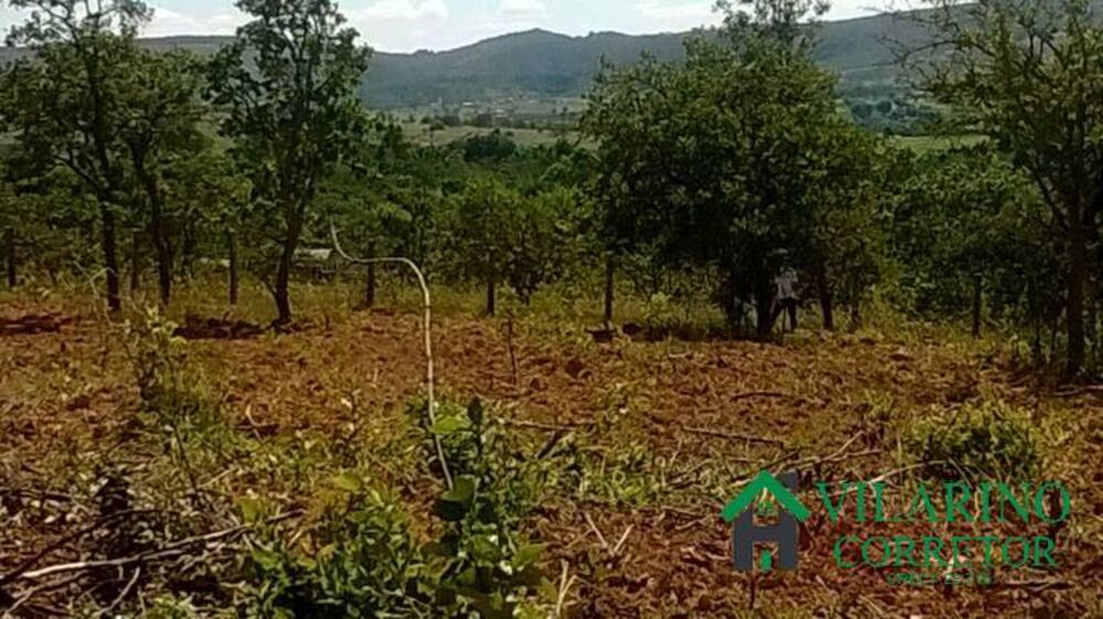 Terreno, 1 hectares - Foto 6
