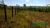 Terreno, 1 hectares - Foto 5