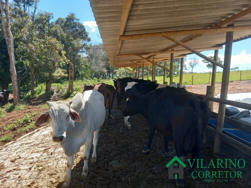Fazenda, 34 m² - Foto 4