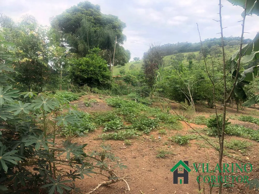 Terreno, 3 hectares - Foto 4