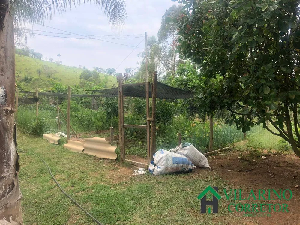 Terreno, 3 hectares - Foto 3