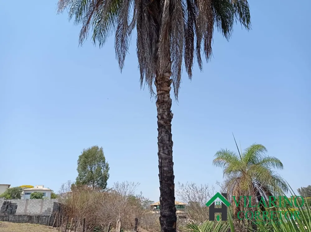 Terreno, 1000 m² - Foto 5