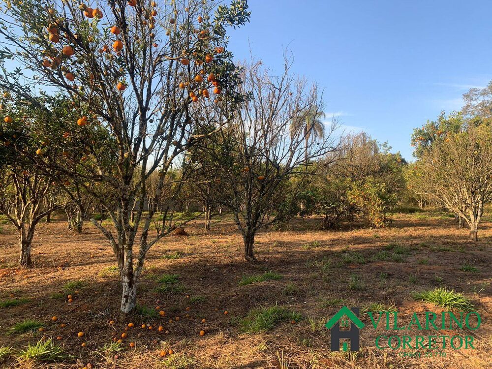 Terreno, 1000 m² - Foto 3