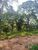 Terreno, 1000 m² - Foto 4