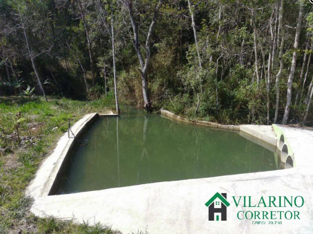 Sítio, 3 quartos, 3 hectares - Foto 4