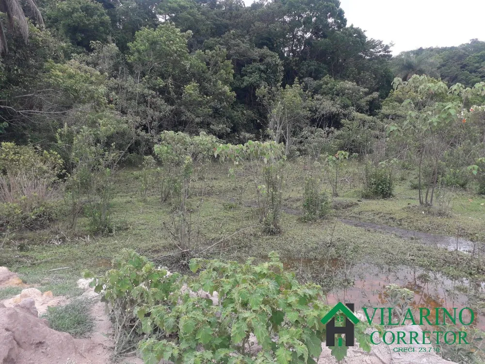 Sítio, 3 quartos, 25 hectares - Foto 12
