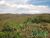 Terreno, 1020 m² - Foto 4