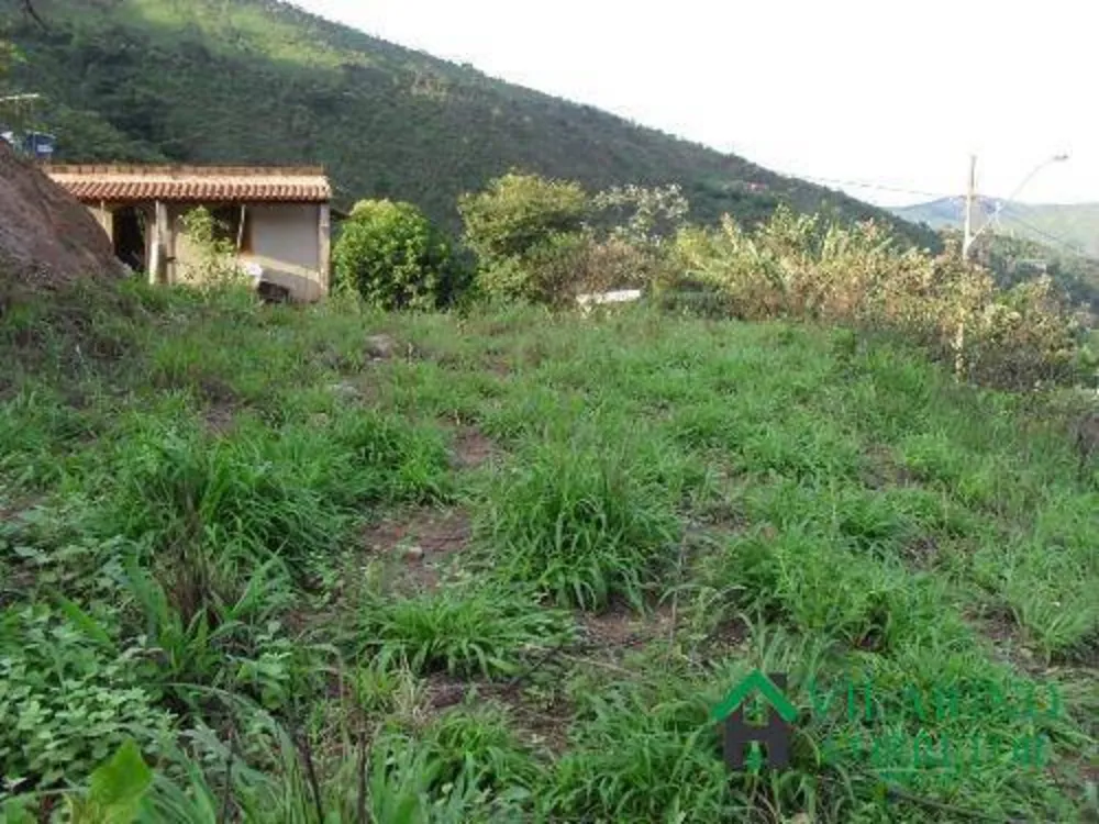Chácara, 1 quarto, 4075 m² - Foto 11