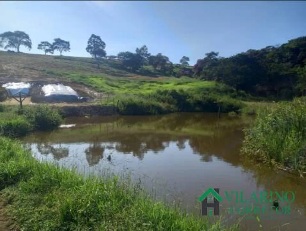 Fazenda, 57 hectares - Foto 1