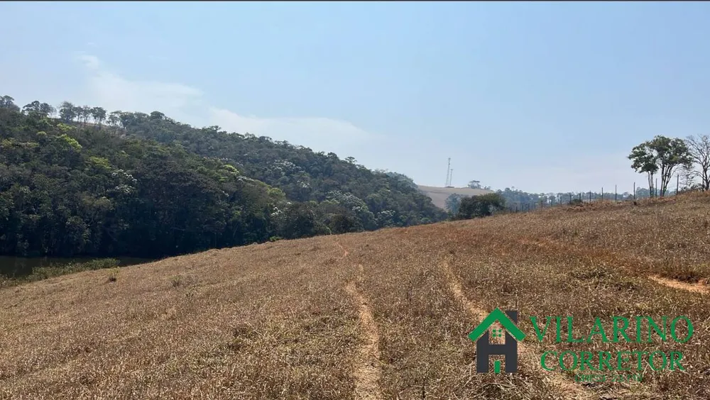Fazenda, 57 hectares - Foto 8