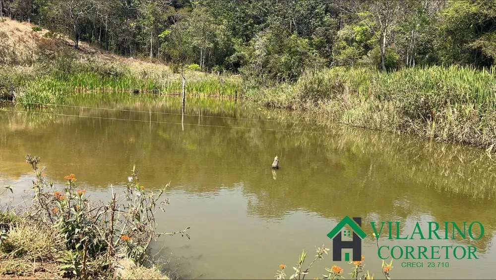 Fazenda, 57 hectares - Foto 4