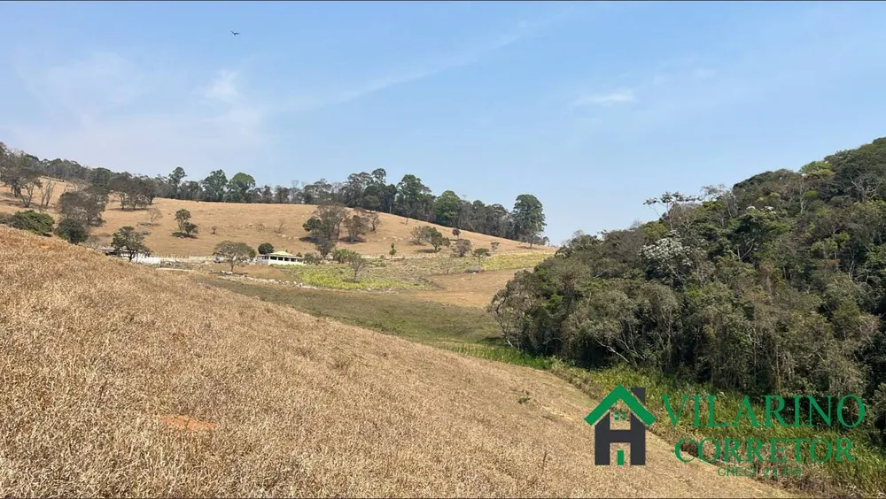 Fazenda, 57 hectares - Foto 6