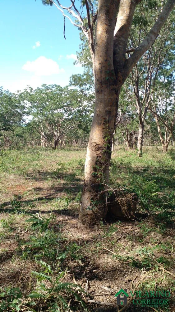 Terreno, 22 hectares - Foto 1