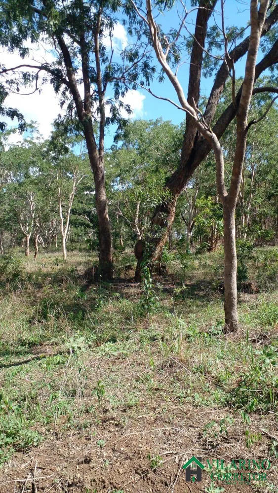 Terreno, 22 hectares - Foto 3