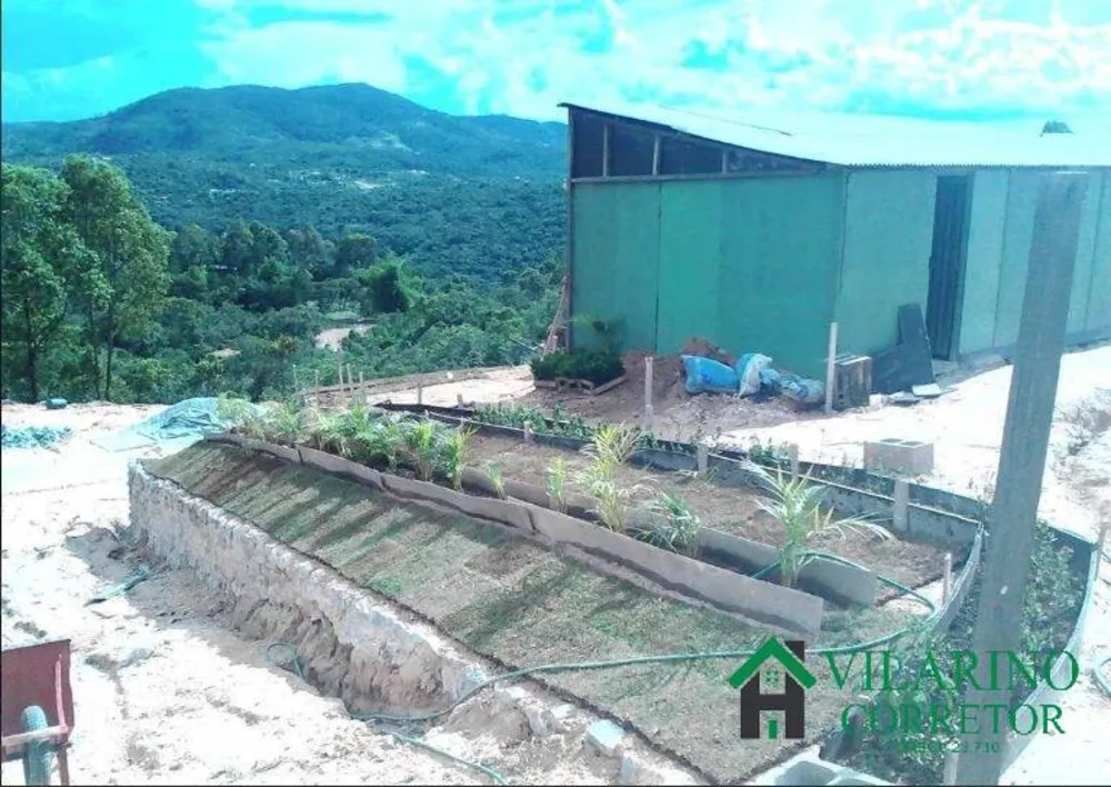 Terreno, 4300 m² - Foto 5