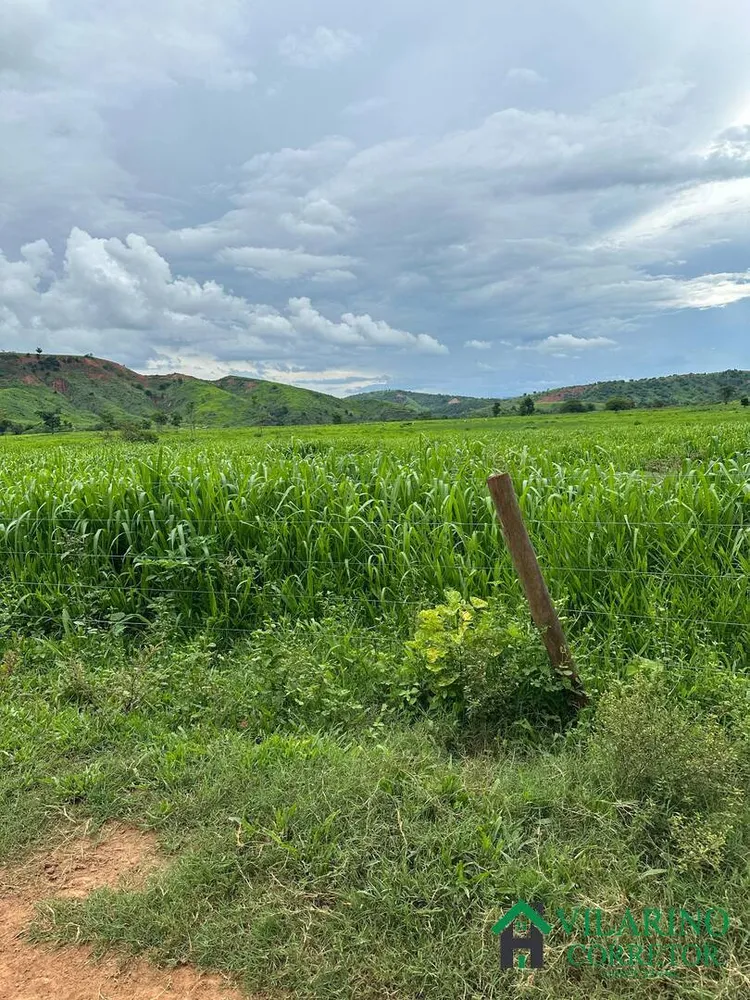 Fazenda, 1000 m² - Foto 3