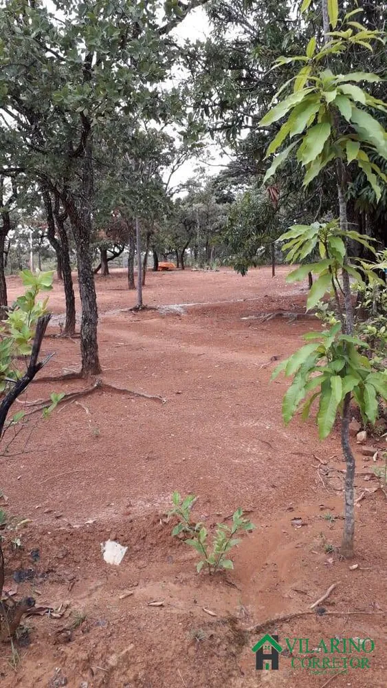 Sítio, 3 quartos, 5000 m² - Foto 16