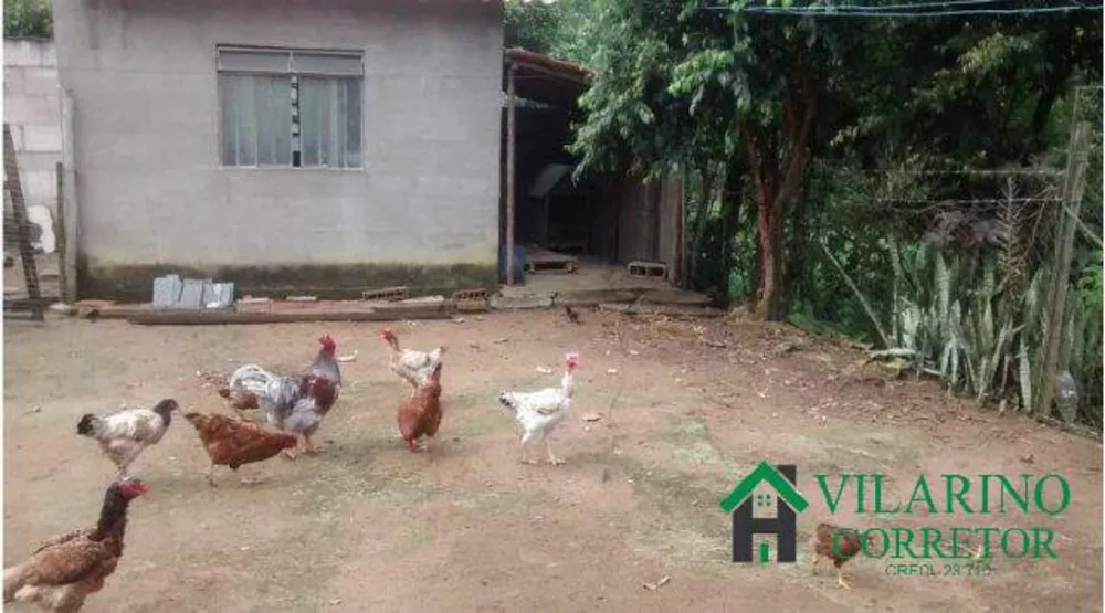 Sítio, 3 quartos, 10000 m² - Foto 6