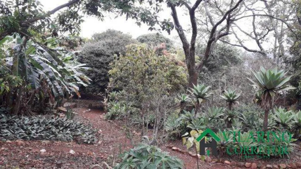 Sítio, 5 quartos, 8000 m² - Foto 2