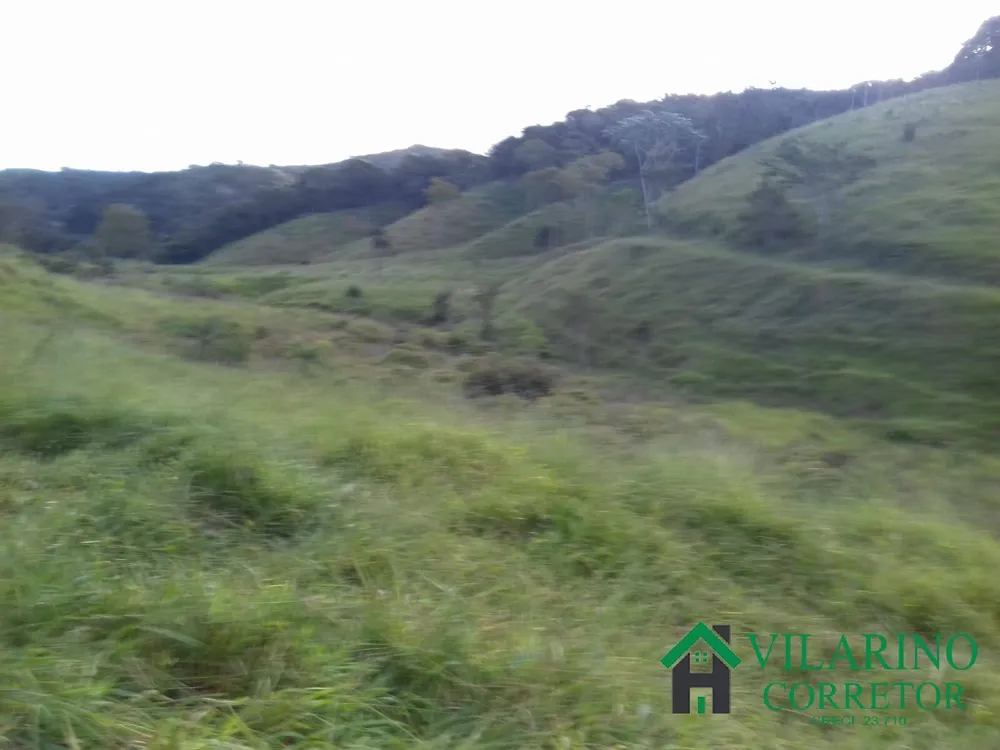 Fazenda, 294 hectares - Foto 2