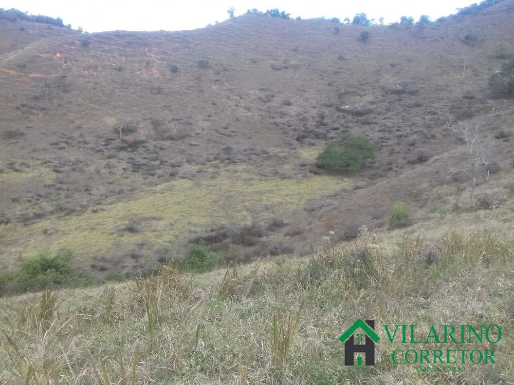Fazenda, 294 hectares - Foto 3